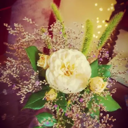 Fairytale Memories, Gite, Spas Et Feerie
